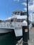 PDT December 2022 - Port Hacking River Cruise Image -639430d2320f8